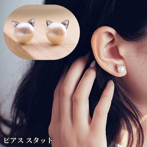 sAX X^bhsAX ANZT[ fB[X F tFCNp[ L lR  Ԃ 킢  Vv Mtg LO a