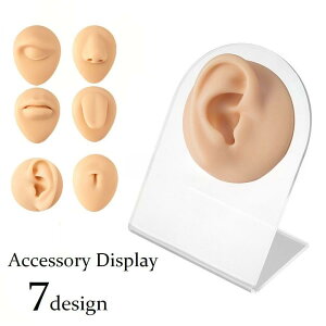 ANZT[fBXvC sAXp {fBsAXp ւsp COp  O ւ ` @  ͌^ A W }lL VR fBXv