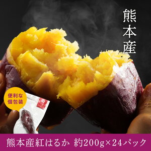 ZȊÂŔ F{Yg͂邩ⓀĂTCYIׂŕ֗iv4.8kgȏj