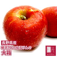 【予約・10月上旬頃から順次出荷開始予定】紅玉 りんご 柳沢さんの低農薬栽培 紅玉リンゴ 大箱 (約18〜24…