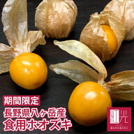 【予約・2026年9月中旬頃から順次出荷開始】【4パック以上の注文で送料無料】長野県八ヶ岳産 食用ほおず…