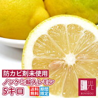 【送料別】 ノンケミレモン 5kg (約30-50個入り) ノンケミカル輸入レモン 「北海道・沖縄は+1100円」 レ…