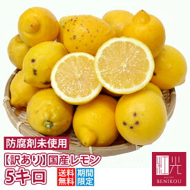 【数量限定！】訳あり 国産 レモン 5kg 鈴木さんらの国産レモン B品 「沖縄への配送は+1100円」