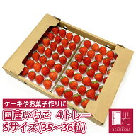 国産いちご 【Sサイズ (35～36粒) 約250g×4トレー】〔日付指定の欠品時はMサイズ(30粒)〕 夏いちご 冬い…