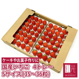 国産いちご 【Sサイズ (35粒〜36粒) 約250g×4トレー】 夏いちご 冬いちご 紅ほっぺ きらぴ香 サマープリンセス サマーリリカル すずあかね 苺 イチゴ 果物 フルーツ ギフト ストロベリー 業務用 「北海道・沖縄は送料+1100円」