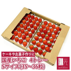 y\E11{珇o׊Jn\zY ySTCY (35`36) 250g×4g[zktw̌iMTCY(30)l  C`S  ~ gق ҍ Ă 