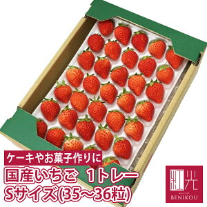 y\E11{珇o׊Jn\zY ySTCY (35`36) 250g×1g[zktw̌iMTCY(30)l  C`S  ~ gق ҍ Ă 