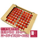 【数量限定 600円OFF！3680円→3080円！】【最短即日出荷（営業...