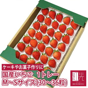 y\E9{珇o׊Jn\zY ySTCY (35`36)kȉꍇMTCY(30)l 250g×1g[z   ^S  C`S ʕ t[c Mtg Ɩp uk