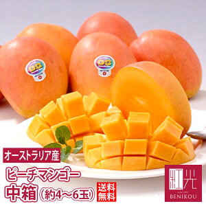 y\E11o׊Jn\zI[XgAY }S[ i1.5kgE4`6ʓjyz ukCE+1100~v s[`}S[ ʕ t[c Mtg