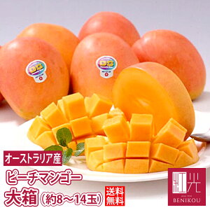 y\E11o׊Jn\zI[XgAY }S[ 唠i3kgE8`14ʓjyz ukCE+1100~v s[`}S[ ʕ t[c Mtg