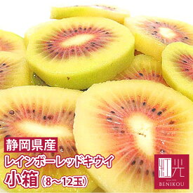 【予約・10月上旬頃から順次出荷開始予定】静岡産 レインボーレッドキウイ 小箱 (中玉〜大玉 約8〜12個入) 「北海道・沖縄は送料+1100円」 キウイフルーツ キュウイ レインボーキウイ 果物