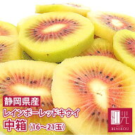 【予約・10月上旬頃から順次出荷開始予定】静岡産 レインボーレッドキウイ 中箱 (中玉〜大玉 約14〜21個…