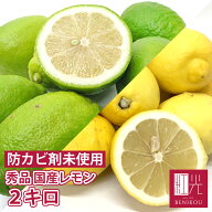 【即日出荷（営業日12：00まで(定休日除く)】国産レモン 国産 秀品 2kg ノーワックス 防腐剤不使用 静岡…