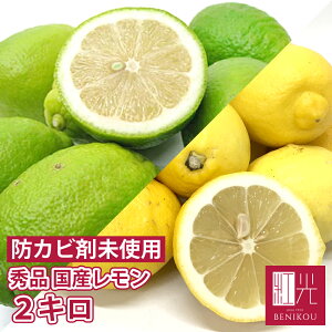 y\E10{珇o׊Jn\zY Y Gi 2kg m[bNX hܕsgp ÉY Y lemon ʕ t[c yukCE+1100~v
