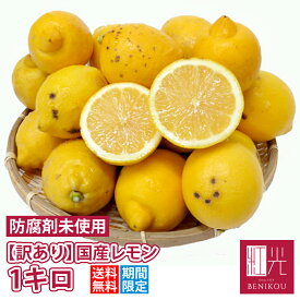 【数量限定！】訳あり 国産 レモン 1kg 鈴木さんらの国産レモン B品 「北海道・沖縄への配送は+1100円」