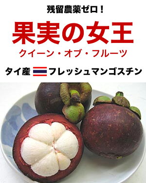 楽天市場 果物 タイ産フレッシュマンゴスチン こだわりの果物屋 紅光