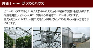 母の日父の日贈答ギフト内祝いメロンクラウンメロンマスクメロンアローマメロン果物フルーツギフト贈答用果物温室メロン静岡母の日父の日敬老の日お中元お歳暮