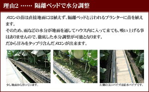 母の日父の日贈答ギフト内祝いメロンクラウンメロンマスクメロンアローマメロン果物フルーツギフト贈答用果物温室メロン静岡母の日父の日敬老の日お中元お歳暮
