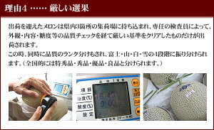 母の日父の日贈答ギフト内祝いメロンクラウンメロンマスクメロンアローマメロン果物フルーツギフト贈答用果物温室メロン静岡母の日父の日敬老の日お中元お歳暮
