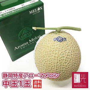 マスクメロンの人気商品 通販 価格比較 価格 Com