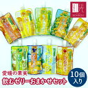 【即日出荷（営業日12：00まで(定休日除く)】愛媛の果実 飲むゼ...