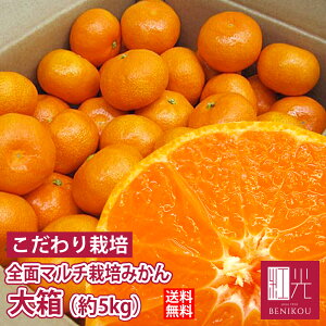 y\E12{珇o׊Jn\zÂ Sʃ}`͔|݂ 唠 5kg ukCE+1100~v ~J  {݂ y