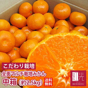 y\E12{珇o׊Jn\zÂ Sʃ}`͔|݂  2.5kg ukCE+1100~v ~J  {݂ y