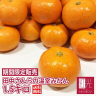 【予約・7月6日（月）から順次出荷開始】温室みかん すっごく甘い田中さんらの 完熟温室ミカン 1.5kg （…