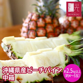 【予約・4月中旬～下旬頃順次出荷開始予定】沖縄西表島産 ピーチパイン 中箱 (2.5kg以上・約4～5玉) 「北海道・沖縄は送料1100円」 パイナップル 果物 フルーツ 父の日 お中元