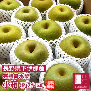 yz쌧ɓ K i2kg E5`6j ukCE͕ʓr+1100~v Ȃ iV  ʕ t[c p ƒp Mtg