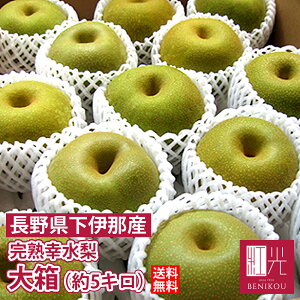 yz쌧ɓ K 唠i5kg E12`14j ukCE͕ʓr+1100~v Ȃ iV  ʕ t[c p ƒp Mtg