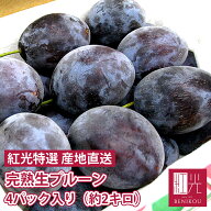 【数量限定 300円OFF！4780円→4480円！】【予約・9月20日～9/23頃から順次出荷開始予定】生プルーン サ…