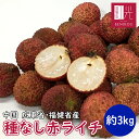 【予約割！3350円OFF！18580円→15230円！】【予約・7月中旬頃順次出荷開始予定】 種無しライチ 大箱（約3kg） 「北海…