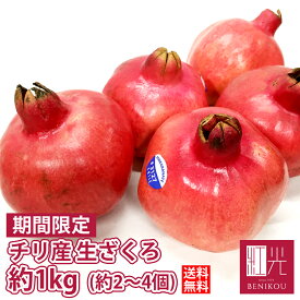 チリ産 ザクロ 約1kg前後（約 2〜4玉） 「北海道・沖縄は送料+1100円」ざくろ ザクロ pomegranate 柘榴 石榴 若榴 甘い 果物 フルーツ 美肌効果 更年期 美容 健康 酸っぱい 女性 ザクロジュース 無添加 フレッシュ 生 新鮮 100% あす楽