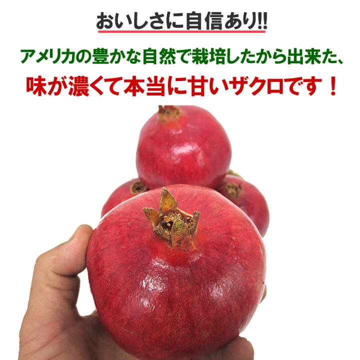 楽天市場 12月上旬出荷予定 アメリカ産 生ざくろ 約2kg 北海道 沖縄は 1100円 ザクロ 柘榴 果物 フルーツ こだわりの果物屋 紅光