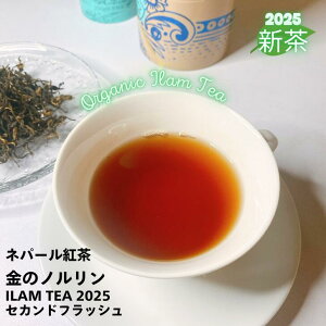 V lp[g ̃m ZJhtbV 2025 S[f`bv g [t eB[obO g ēE CeB[ lp[eB[ gX g bT[p_