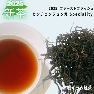 10%OFF X[p[Z[ lp[g V lp[eB[ J`FWK 2025 t@[XgtbV g t eB[obO [t Cg gX g  bT[p