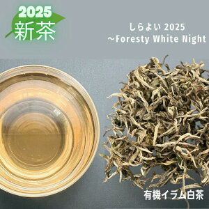 10%OFF X[p[Z[ 2025 V lp[  悢 zCgeB[ [t t eB[obO zCg eB[ V` 낿 I[KjbN L@ lp[ CeB[  