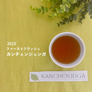 20%OFF X[p[Z[ lp[g J`FWK 2023 t@[XgtbV lp[ [t eB[obO g t g tE CeB[ lp[eB[ gX 