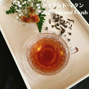 ݌ɂ킸@nChE}^ 2022 ZJhtbV [t 50g eB[obO 16 gX g g t g lp[eB[ lp[ CeB[ gXg