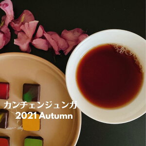 30%OFF X[p[Z[ ݌ɂ킸 lp[eB[ CeB[ J`FWK 2021 I[^ [t eB[obO g g I[^i Y _ gX g 