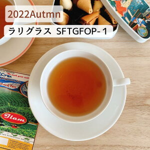 lp[g I[^i OX 2022 SFTGFOP -1 I[^ lp[ t [t eB[obO g lp[eB[ CeB[ gX g gXg g Y