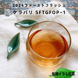 lp[eB[ Po 2024 t@[XgtbV g t eB[obO [t Cg gX g g bT[p_ lp[g Y _  L@ 