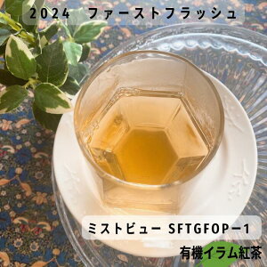 30%OFF X[p[Z[ g lp[eB[ ~Xgr[ 2024 t@[XgtbV g t eB[obO [t Cg gX g g bT[p_ Y _