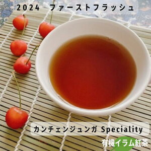 20%OFF X[p[Z[ g lp[eB[ J`FWK 2024 t@[XgtbV g t eB[obO [t Cg gX g  bT[p_ lp[