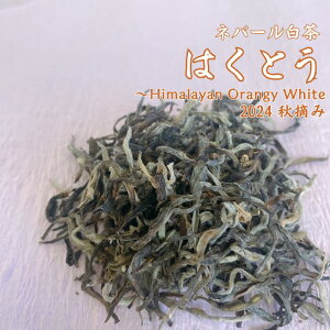 30%OFF X[p[Z[  ͂Ƃ zCgeB[ lp[eB[ [t t eB[obO zCgeB[ V` 낿 I[KjbN L@ lp[ CeB[ _ 