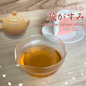  ԉ zCgeB[ lp[eB[ [t t eB[obO pbN zCg eB[ V` 낿 I[KjbN L@ lp[ CeB[   gX 