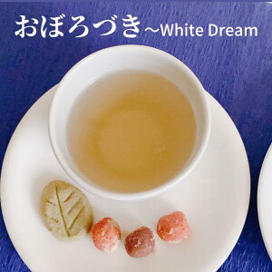 ڂÂ  zCgeB[ lp[eB[ [t t eB[obO pbN zCg eB[ V` 낿 I[KjbN L@ lp[ CeB[ _   