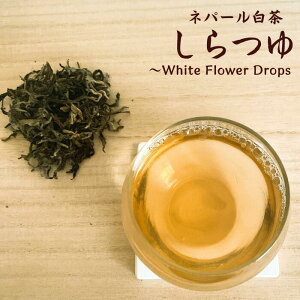   zCgeB[ lp[eB[ [t t eB[obO zCg eB[ V` 낿 I[KjbN L@ lp[ CeB[ _   g